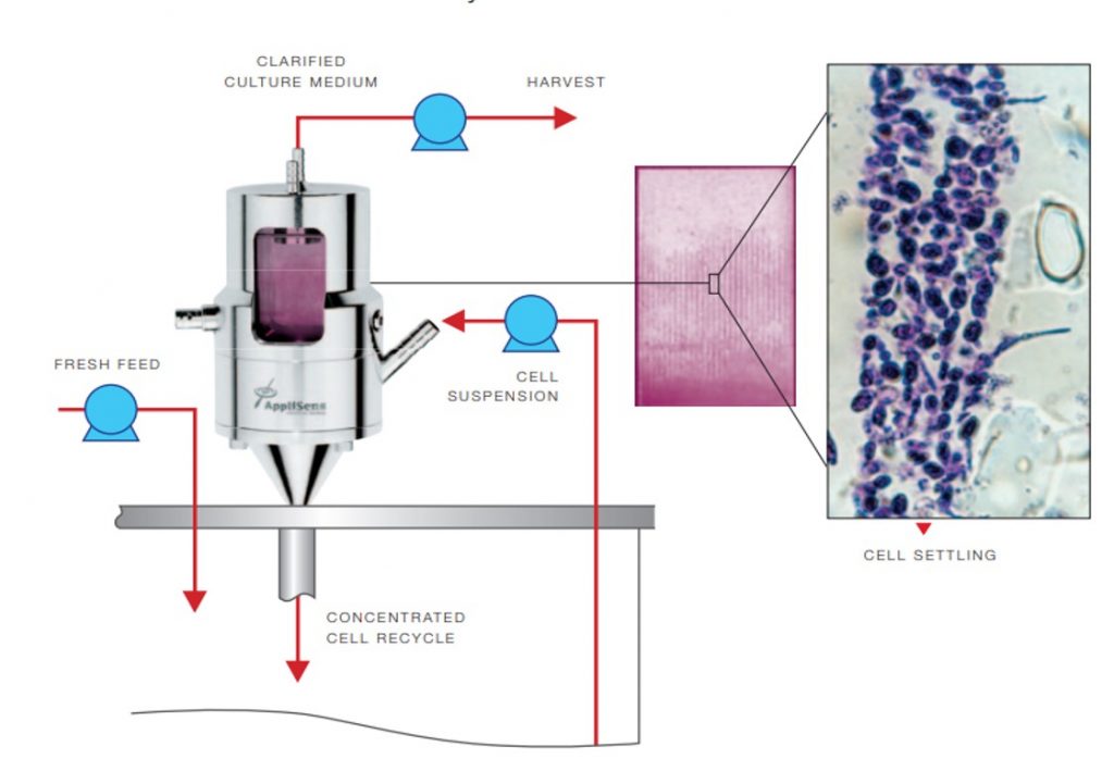 BioSep Cell culture perfusion מדנט מכשור מדעי